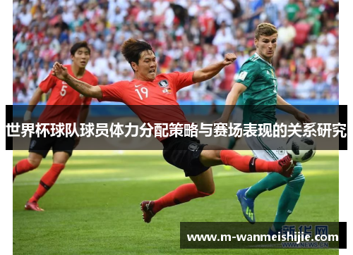 世界杯球队球员体力分配策略与赛场表现的关系研究