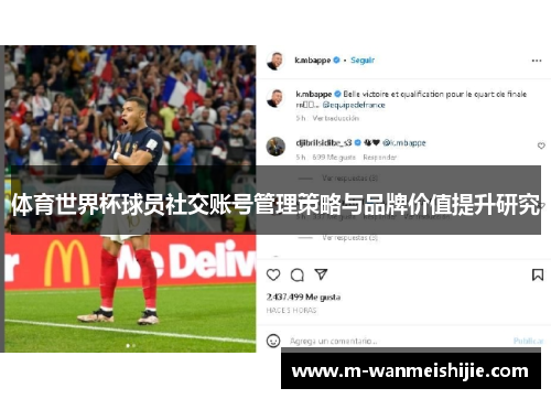 体育世界杯球员社交账号管理策略与品牌价值提升研究
