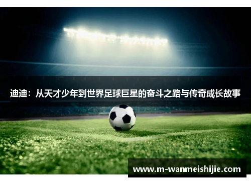 迪迪：从天才少年到世界足球巨星的奋斗之路与传奇成长故事