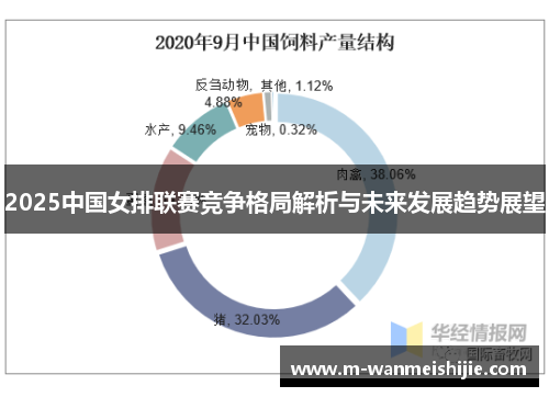 2025中国女排联赛竞争格局解析与未来发展趋势展望