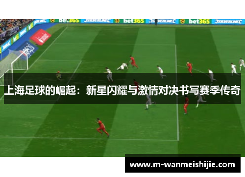 上海足球的崛起：新星闪耀与激情对决书写赛季传奇