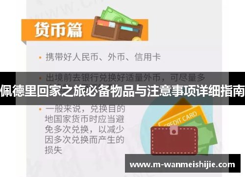 佩德里回家之旅必备物品与注意事项详细指南