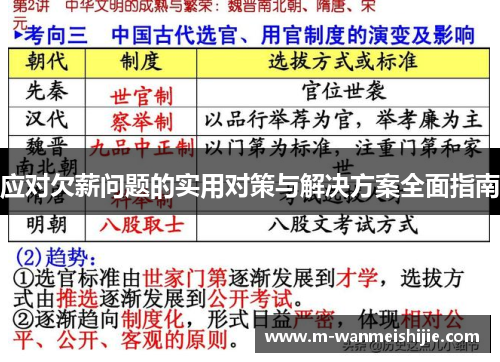 应对欠薪问题的实用对策与解决方案全面指南
