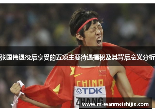 张国伟退役后享受的五项主要待遇揭秘及其背后意义分析