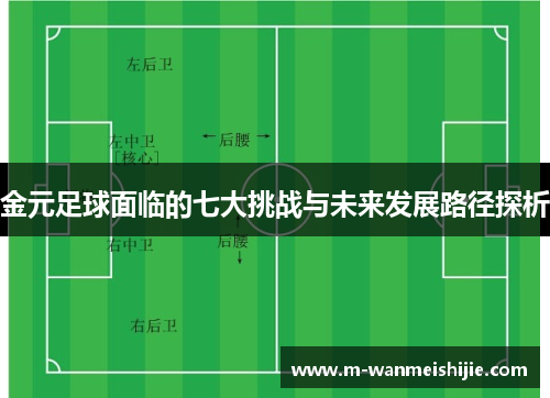 金元足球面临的七大挑战与未来发展路径探析