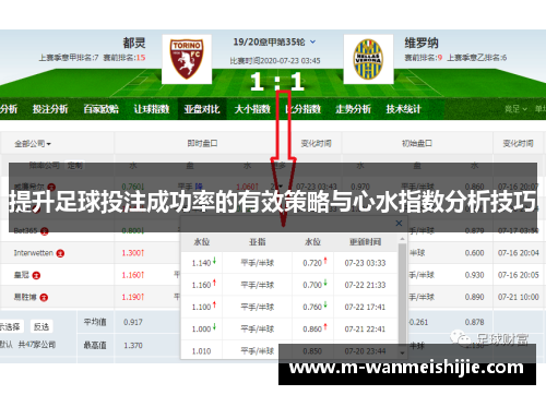 提升足球投注成功率的有效策略与心水指数分析技巧
