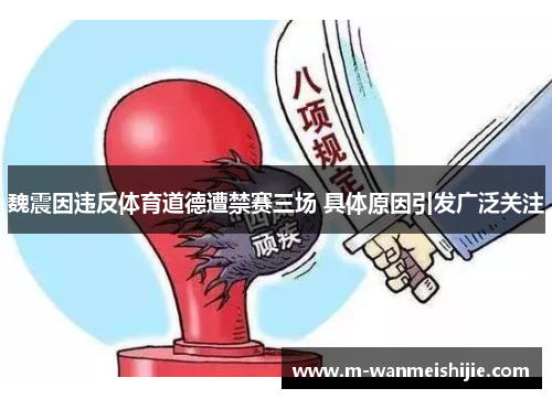 魏震因违反体育道德遭禁赛三场 具体原因引发广泛关注